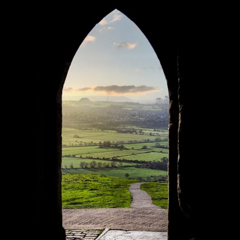 Junge Frau in einem Feld voller Blumen, die eine Blume in der Hand hält und lächelt.